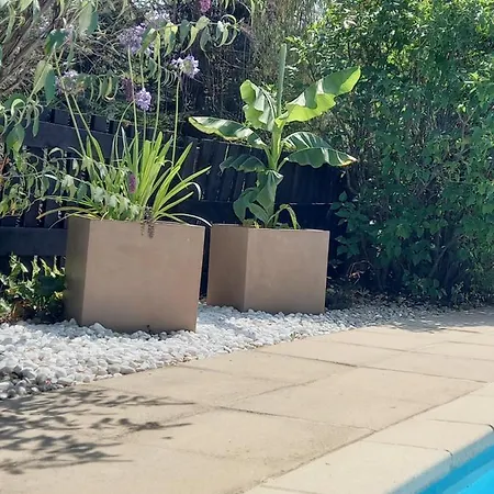 D'aujour Venterol (Alpes-de-Haute-Provence)