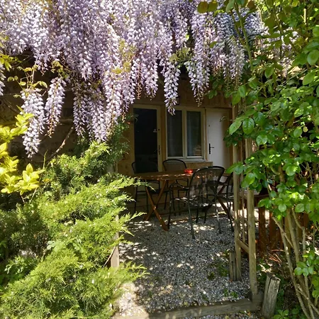 D'aujour Venterol (Alpes-de-Haute-Provence)